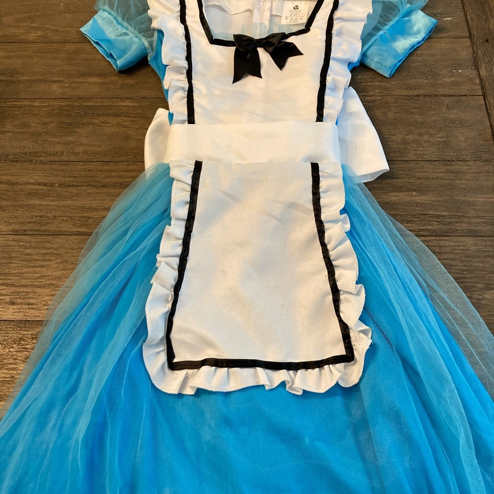 Alice in Wonderland costume
